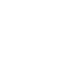 Home Icon